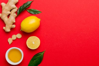 Doğal soğuk algınlığı ve grip ilaçları. Bağışıklık uyarımı ve virüs koruması için doğal malzemeler. Üst görünüm düzlüğü.