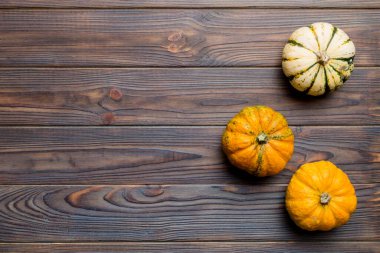Renkli masa arkasında küçük turuncu balkabaklarının sonbahar kompozisyonu. Sonbahar, Cadılar Bayramı ve Şükran Günü konsepti. Sonbahar düz fotoğraf çekimi. Üst görünüm vith kopyalama alanı.