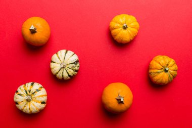 Renkli masa arkasında küçük turuncu balkabaklarının sonbahar kompozisyonu. Sonbahar, Cadılar Bayramı ve Şükran Günü konsepti. Sonbahar düz fotoğraf çekimi. Üst görünüm vith kopyalama alanı.