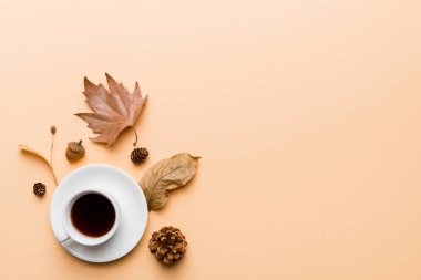 Renkli sonbahar kahve fincanı ve renkli yapraklarla bezenmiş düz bir kompozisyon. en üstteki görünüm.