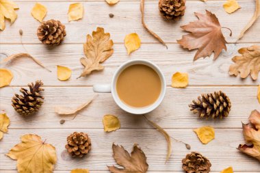 Sonbahar yapraklı bir fincan kakao soyut natürmort yaşam üst görünüm kopyalama alanı.