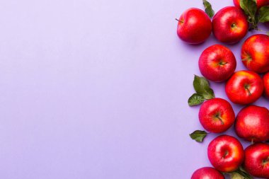 Renkli arka planda bir sürü kırmızı elma, üst manzara. Tasarım veya metin için kopyalama alanı olan taze elma görünümlü sonbahar deseni.