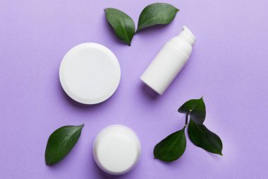 Renkli yeşil yapraklı organik kozmetik ürünler. Düz yatıyordu.