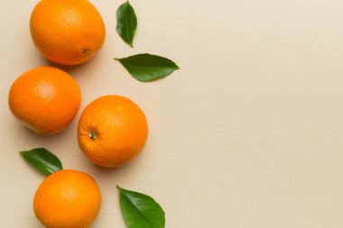 Renkli arka planda taze meyve portakalı dilimleri. Üst Manzara. Uzayı kopyala yaratıcı yaz konsepti. Minimum düzlükte turunçgillerin yarısı kopyalama alanı ile yatar.