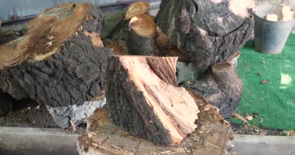 在家里用一把锋利的大斧子砍柴 人砍柴 在木头上砍柴 — 图库视频影像