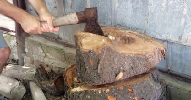 Sekání Dřeva Velkou Ostrou Sekerou Muž Seká Dřevo Sekání Dřeva — Stock video