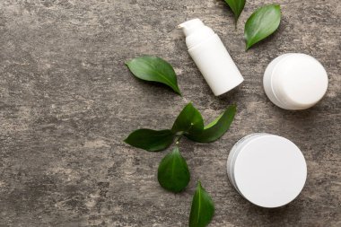 Çimento arka planında yeşil yaprakları olan organik kozmetik ürünler. Uzayı kopyala, düz yat.