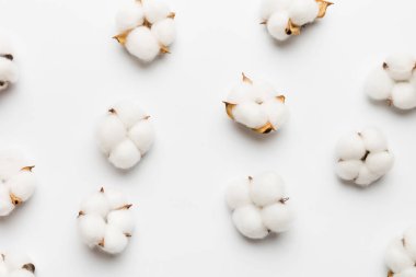 Autumn Floral Flat arka plan kompozisyonu oluşturdu. Kurumuş beyaz pamuklu çiçek dalı ve yeşil yapraklı üst görünümü kopya alanı olan renkli masa üzerinde..