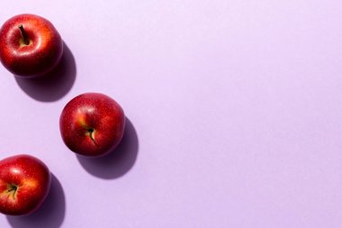 Renkli arka planda bir sürü kırmızı elma, üst manzara. Tasarım veya metin için kopyalama alanı olan taze elma görünümlü sonbahar deseni.