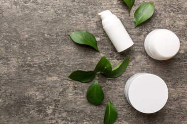 Çimento arka planında yeşil yaprakları olan organik kozmetik ürünler. Uzayı kopyala, düz yat.