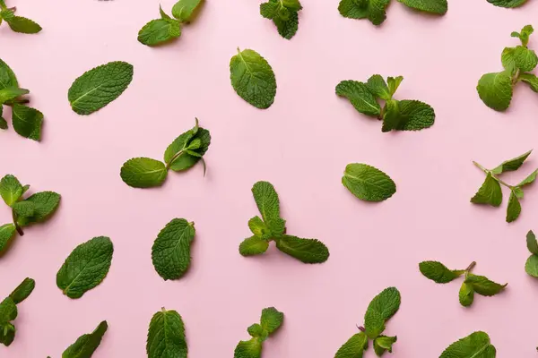 Fresh green mint leaves on white background, Mint leaves pattern Top view with copy space.