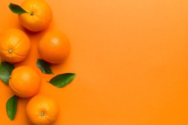 Renkli arka planda taze meyve portakalı dilimleri. Üst Manzara. Uzayı kopyala yaratıcı yaz konsepti. Minimum düzlükte turunçgillerin yarısı kopyalama alanı ile yatar.