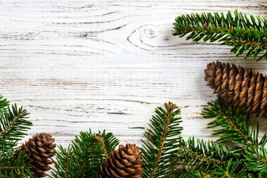 Noel arka plan. ağaç dalları koniler ile. Kopya alanı