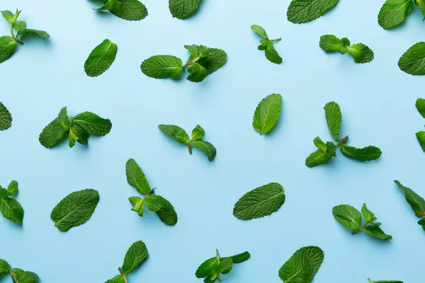 Fresh green mint leaves on white background, Mint leaves pattern Top view with copy space.
