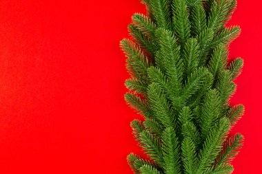 Yeşil köknar dallarından yapılmış renkli arkaplan manzarası. Kopya alanı olan yeni yıl tatili kavramı.