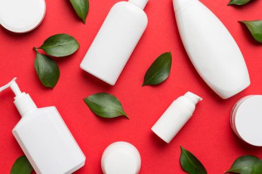 Renkli yeşil yapraklı organik kozmetik ürünler. Düz yatıyordu.