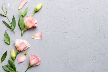 Kozmetik ürünleri ve çimento arka planında güzel güller olan kompozisyon. Uzayı kopyala, düz yat.