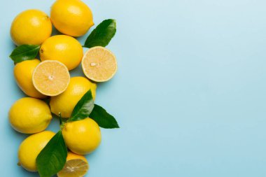 Renkli arka planda yeşil yapraklı taze limonlar, üst görünüm, metin için boşluk.