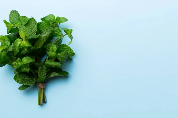 Mint leaf. Fresh mint on Colored background. Mint leaves isolated Top view with copy space.
