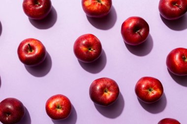 Renkli arka planda bir sürü kırmızı elma, üst manzara. Görüş üzerinde taze elma ile sonbahar deseni.