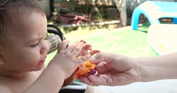 Seorang Anak Kecil Duduk Kursi Makan Bayi Dan Makan Buah — Stok Video
