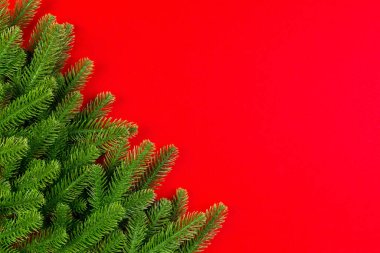 Renkli arka planda yeşil köknar ağacı dallarının üst görüntüsü. Tasarımınız için boş alanı olan yeni yıl tatili kavramı.