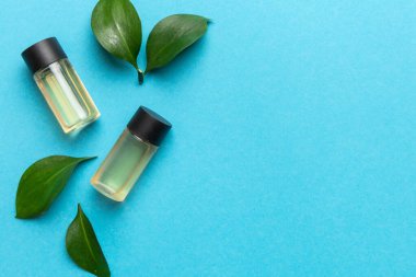 Renkli yeşil yapraklı organik kozmetik ürünler. Uzayı kopyala, düz yat.