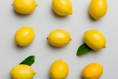 Renkli arka plan olarak pek çok taze limon, üst manzara. Limon ve limon dilimlerinin zarif arka planı Üst görünüm düz yatıyordu.