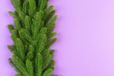 Köknar ağacından yapılmış renkli şenlikli arka plan manzarası. Fotokopi alanı olan Noel tatili kavramı.