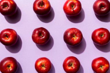 Renkli arka planda bir sürü kırmızı elma, üst manzara. Görüş üzerinde taze elma ile sonbahar deseni.