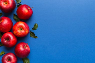 Renkli arka planda bir sürü kırmızı elma, üst manzara. Tasarım veya metin için kopyalama alanı olan taze elma görünümlü sonbahar deseni.