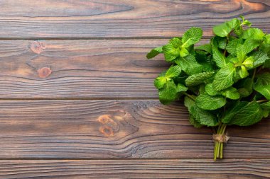 Nane yaprağı. Renkli arka planda taze nane. Darphane izole edilmiş Üst görünümü kopyalama alanı ile bırakır.