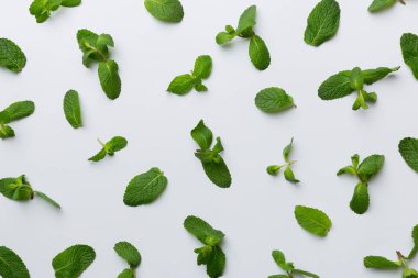 Beyaz arkaplanda taze yeşil nane yaprakları, nane, kopya alanı ile üst görünüm bırakır.