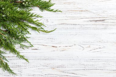 Rustik ahşap arka plan dallarda yeşil Mazı (bitki).