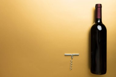 Renkli masada bir şişe kırmızı şarap. Düz konum, üst görünüm kopyalama alanı.