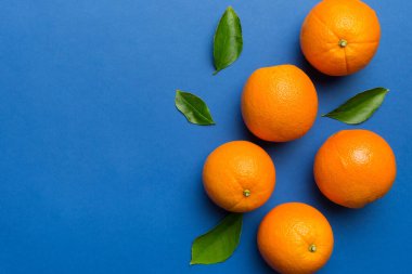 Renkli arka planda taze meyve portakalı dilimleri. Üst Manzara. Uzayı kopyala yaratıcı yaz konsepti. Minimum düzlükte turunçgillerin yarısı kopyalama alanı ile yatar.