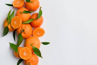 Renkli arkaplanda yeşil yaprakları, üst görünümü, metin için alanı olan bir sürü olgun mandalina..