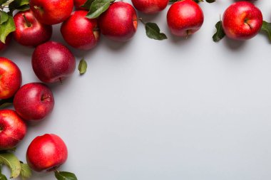 Renkli arka planda bir sürü kırmızı elma, üst manzara. Tasarım veya metin için kopyalama alanı olan taze elma görünümlü sonbahar deseni.