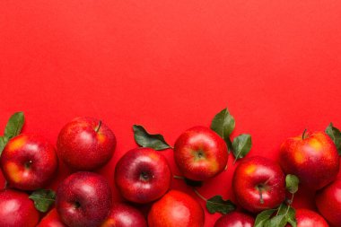 Renkli arka planda bir sürü kırmızı elma, üst manzara. Tasarım veya metin için kopyalama alanı olan taze elma görünümlü sonbahar deseni.