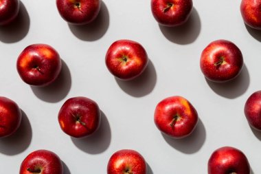 Renkli arka planda bir sürü kırmızı elma, üst manzara. Görüş üzerinde taze elma ile sonbahar deseni.