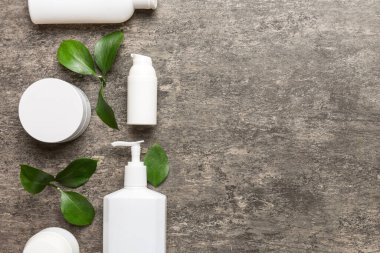 Çimento arka planında yeşil yaprakları olan organik kozmetik ürünler. Uzayı kopyala, düz yat.
