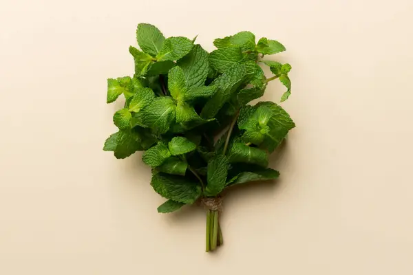 Mint leaf. Fresh mint on Colored background. Mint leaves isolated Top view with copy space.