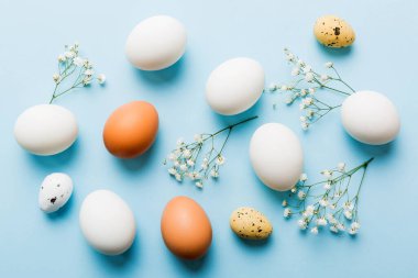 Mutlu Paskalya kompozisyonu. Renkli masada çingene yumurtaları var. Doğal boyalı renkli yumurtalar arkaplan arkaplan görünümü kopya alanı ile.