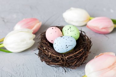 Mutlu Paskalyalar. Yuvadaki Paskalya yumurtaları renkli masada lale ile. Doğal boyalı renkli yumurtalar arkaplan arkaplan görünümü kopya alanı ile.