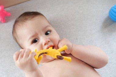 Renkli çıngıraklı oyuncaklarla oynayan sevimli bir bebek. İpli bebek. Altı aylık güzel bir bebek portresi, bembeyaz ve iple bağlanmış..