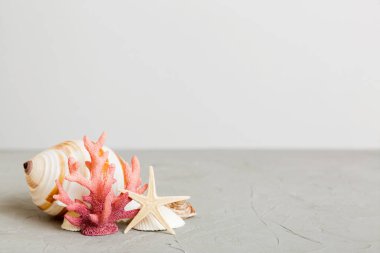 Yaz mevsimi kavramı deniz kabukları ya da arka planda metin için fotokopi alanı olan denizyıldızı ile.