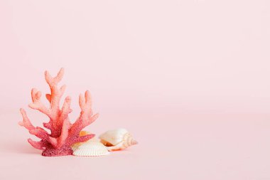 Yaz mevsimi kavramı deniz kabukları ya da arka planda metin için fotokopi alanı olan denizyıldızı ile.