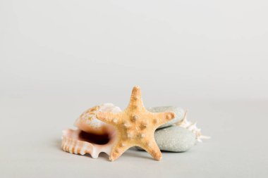 Yaz mevsimi kavramı deniz kabukları ya da arka planda metin için fotokopi alanı olan denizyıldızı ile.