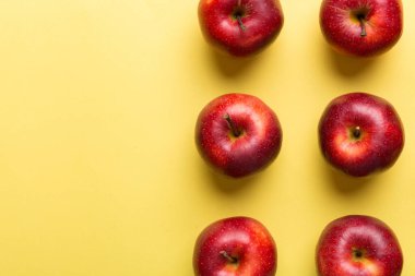 Renkli arka planda bir sürü kırmızı elma, üst manzara. Tasarım veya metin için kopyalama alanı olan taze elma görünümlü sonbahar deseni.