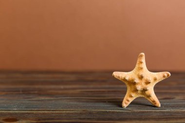 Yaz mevsimi kavramı deniz kabukları ya da arka planda metin için fotokopi alanı olan denizyıldızı ile.